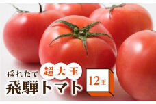 【数量限定】希少！！超大玉飛騨トマト 12玉 【8月頃～順次お届け】| とまと 大玉トマト 野菜 産地直送 珍しい 数量限定 期間限定 飛騨高山 宿儺さま KA009