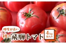 【9月頃～順次発送】秋の濃い味 飛騨トマト 4kg | 大玉 トマト とまと 秋 野菜 期間限定 産地直送 野菜 飛騨高山 宿儺さま KA010