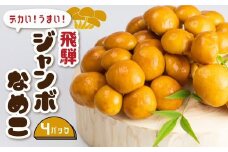 飛騨ジャンボなめこ約180g×4パック入り 国産なめこ きのこ 生なめこ 大きい ジャンボサイズ なめ茸 希少 珍しい  鍋 日付指定可 なめこファーム  KN001