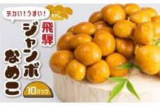 飛騨ジャンボなめこ約180g×10パック入り 国産なめこ きのこ 生なめこ 大きい ジャンボサイズ なめ茸 希少 珍しい  鍋 日付指定可 なめこファーム  KN002
