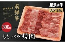 飛騨牛 焼肉 （ もも / バラ ） 2種入り300g | もも肉 バラ肉 食べ比べ A5等級 ブランド牛 和牛 焼肉セット 雌牛 牝牛 バーベキュー キャンプ 飛騨高山 肉の朝日屋 JX011