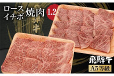 飛騨牛 焼肉 食べ比べ （ ロース / イチボ ） 1.2kg（600g×2） | A5等級 牛肉 和牛 ブランド牛 霜降り 雌牛 牝牛 バーベキュー キャンプ 飛騨高山 肉の朝日屋 JX019