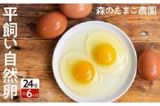定期便 6ヶ月 平飼い 自然卵 24個 セット たまご 卵 飛騨高山 森のたまご農園 LW101