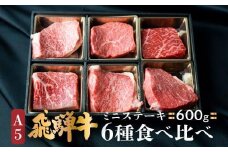 A5等級 飛騨牛 ミニステーキ 6種 食べ比べ 600g | 冷凍 ステーキ 肉 黒御膳容器入 霜降 A5ランク 5等級 ブランド牛 国産牛 国産 Ａ5等級 ステーキ のし対応不可 飛騨高山 肉の匠家 BV007