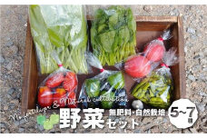 【数量限定】無肥料 自然栽培 野菜セット 5～7種 | やさい 野菜詰合せ 秋野菜 産地直送 詰合せ セット 新鮮野菜 飛騨高山 amrita農園 KM001
