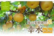 【数量限定】期間限定 飛騨産 梨 幸水 3キロ 2024年9月中旬〜下旬頃順次発送 | なし ナシ 果物 フルーツ 和梨 亀山忠志 飛騨高山 亀山果樹園 HC001