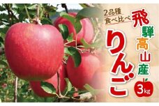 【先行受付】飛騨りんご2種詰め合わせ 3kg | りんご 林檎 リンゴ 果物 フルーツ 産地直送 品種お任せ 日付指定不可 9月下旬～11月上旬頃順次発送 堤果樹園 KU001