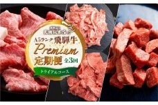 天狗総本店 A5 飛騨牛 定期便  3回  1.3kg ( 300g 以上 × 3ヶ月 )  ( サイコロステーキ 霜降 赤身 切り落とし すき焼き) | 肉 牛肉 食べ比べ 岐阜 高山市 飛騨高山 岐阜県 人気 お楽しみ おすすめ BP100