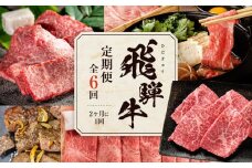 【飛騨牛 定期便】＜全6回＞2ヶ月に1回お届け  牛肉（ステーキ / 焼肉 / しゃぶしゃぶ / すき焼き） | 肉 食べ比べ 霜降り ロース もも 岐阜 高山市 飛騨高山 岐阜県 人気 お楽しみ おすすめ ZZ016