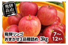 【数量限定】≪9月中旬～順次発送≫ 飛騨リンゴ 3kg（7～12玉入り）おまかせ２品種 食べ比べ | 果物 りんご リンゴ 林檎 フルーツ 旬 飛騨高山 ぜんぞう果樹園 FX001