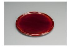 【高島屋選定品】飛騨春慶塗 （手塗漆） 名月盆 お盆 丸盆 春慶 工芸品 うるし 来客 漆器 漆塗 和食器 器 天然木 (株)高島屋 AT017
