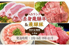 定期便 4回 A5 飛騨牛 ＆ アルプス育ちの 飛騨豚 (すき焼き 焼肉 とんかつ しゃぶしゃぶ )  豚肉 肉 豚ロース 肉  HF107