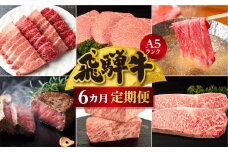 【定期便6ヶ月】 A5ランク肉 飛騨牛 定期便 約2.6kg(360g以上×6ヶ月) 牛肉 ( 焼肉 すき焼き しゃぶしゃぶ ステーキ 肩ロース ヒレ サーロイン もも バラ ) | 食べ比べ A5  人気 お楽しみ おすすめ 岐阜県 高山市 飛騨高山 ながせ食品 FH101