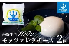 飛騨生乳100％ モッツァレラチーズ 2個（1個125g）| チーズ モッツァレラ 冷蔵 個包装 カプレーゼ パスタ ピザ 前菜 サラダ 新鮮 生乳 国産 低温殺菌 乳製品 無添加 飛騨高山 チーズ工房トリデンテ LF001