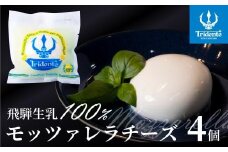 飛騨生乳100％ モッツァレラチーズ 4個（1個125g）| チーズ モッツァレラ 冷蔵  個包装 カプレーゼ パスタ ピザ  前菜 サラダ 新鮮 生乳 国産 低温殺菌 乳製品 無添加 飛騨高山 チーズ工房トリデンテ LF002