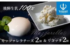 【寄附額見直しました！】飛騨生乳100％ モッツァレラ 2個（1個125g）& リコッタ 2個（1個100g）| セット チーズ モッツァレラ リコッタ 冷蔵 個包装 パスタ ピザ サラダ 低温殺菌 新鮮 国産 乳製品 無添加 飛騨高山 チーズ工房トリデンテ LF005