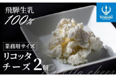 飛騨生乳100％ リコッタチーズ 2個（1個250g）| リコッタ 冷蔵 サラダ お菓子 前菜 サラダ 新鮮 生乳 国産 低温殺菌 乳製品 無添加 大容量 業務用サイズ 飛騨高山 チーズ工房トリデンテ LF006