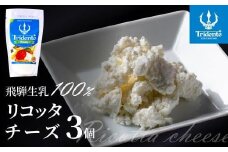飛騨生乳100％ リコッタチーズ ３個（1個100g）| リコッタ 冷蔵 サラダ お菓子 前菜 サラダ 新鮮 生乳 国産 乳製品 無添加 飛騨高山 チーズ工房トリデンテ LF009