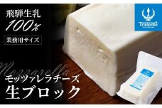 飛騨生乳100％ モッツァレラチーズ生ブロック | チーズ モッツァレラ 冷蔵  個包装 カプレーゼ パスタ ピザ 前菜 サラダ 新鮮 生乳 国産 低温殺菌 乳製品 無添加 大容量 業務用サイズ 飛騨高山 チーズ工房トリデンテ LF010