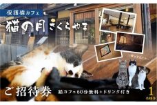 猫の月さくらやまご招待券1名様分（猫カフェ60分無料＋ワンドリンク付き）　ネコカフェ チケット 猫 ねこ ドリンク付き 古民家カフェ 保護猫 猫の月 さくらやま LM005