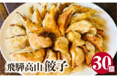 高山餃子 30個入り お試しパック ＜ 生冷凍餃子 ・ 簡易包装 ＞ ぎょうざ ギョーザ 冷凍 冷凍餃子 簡易包装 業務用 惣菜 ニラ 豚肉 大容量 FN003