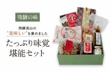 《飛騨の味》たっぷり味覚堪能セット こうじ味噌 醤油 漬物 飛騨牛カレー 高山ラーメン | 加工品 詰合せ セット らーめん カレー 飛騨高山 産業振興協会 LG014