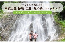 2025・26年度シーズン 乗鞍山麓 秘境「五色ヶ原の森」トレッキング ロングコース「カモシカコース（所要8時間）」大人２名分 | 観光 森 自然 ガイド 案内 ツアー トレッキング 飛騨高山 乗鞍山麓五色ヶ原の森 MK001