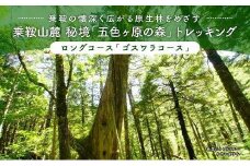 2025・26年度シーズン 乗鞍山麓 秘境「五色ヶ原の森」トレッキング  ロングコース「ゴスワラコース（所要8時間）」大人2名分 | 観光 森 自然 ガイド 案内 ツアー トレッキング 飛騨高山 乗鞍山麓五色ヶ原の森 MK003