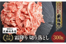 【9月発送】A5等級 飛騨牛 霜降り 切り落とし 300g 【日付指定不可】 ブランド牛 雌牛 5等級 A5ランク 切落し 薄切り バラ肉 熨斗 のし 飛騨高山 天狗総本店 BP023VC09