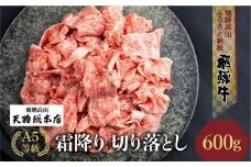  【9月発送】A5飛騨牛霜降 切り落とし 600g【日付指定不可】ブランド牛 雌牛 5等級 A5ランク 切落し 薄切り 熨斗 のし 飛騨高山 天狗総本店 BP026VC09