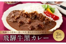喜八郎謹製 リッチなコクの飛騨牛黒カレー（230g×3箱）| 焙煎スパイス薫る レトルト カレー 黒カレー 飛騨牛 スパイス 食品 山一商事 EN002