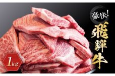 【9月発送】飛騨牛 訳あり焼肉1kg 切り落とし | 牛肉 訳あり 部位 大きさ不揃い 日付指定不可 冷凍 焼き肉 BBQ バーベキュー 切落し 和牛 ブランド牛 株式会社丸明 LR008VC09
