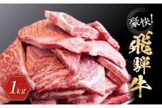 【9月発送】飛騨牛 訳あり焼肉1kg 切り落とし | 牛肉 訳あり 部位 大きさ不揃い 日付指定不可 冷凍 焼き肉 BBQ バーベキュー 切落し 和牛 ブランド牛 株式会社丸明 LR008VC09