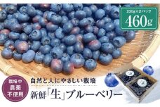 治助ファームの北部ハイブッシュブルーベリー「生果実」230g×2パック （栽培中農薬不使用）| ブルーベリー 果物 果実 完熟 フルーツ 飛騨高山 治助ファーム LJ001
