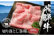 飛騨牛 切落とし 600g（約150g×4パック） 冷凍真空パック | 肉 お肉 すき焼き すきやき しゃぶしゃぶ 黒毛和牛 和牛 個包装 小分け 人気 おすすめ 牛肉 ギフト お取り寄せ【飛騨高山ミート MZ001】