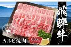 飛騨牛 カルビ焼肉 600g（150g×4パック） 冷凍真空パック | 肉 お肉 焼肉 焼き肉 やきにく 黒毛和牛 和牛 個包装 小分け 人気 おすすめ 牛肉 バーベキュー キャンプ ギフト お取り寄せ【飛騨高山ミートMZ005】