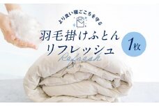 羽毛掛け布団 リフレッシュ 1枚 専用袋に入れて送るだけ ゆすぎたっぷりで洗います　アドバンス飛騨　MX001