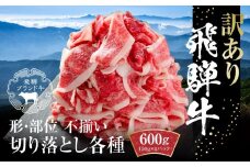 訳あり 飛騨牛 切落とし 600g（150g×4パック） 冷凍真空パック | 肉 お肉 切り落とし すき焼き すきやき 黒毛和牛 和牛 個包装 小分け 人気 おすすめ 牛肉 ギフト お取り寄せ【飛騨高山ミート MZ012】