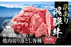 訳あり 飛騨牛 焼肉 切落とし 600g（150g×4パック） 冷凍真空パック | 肉 お肉 焼肉 焼き肉 やきにく 黒毛和牛 和牛 個包装 小分け 人気 おすすめ 牛肉 ギフト お取り寄せ【飛騨高山ミート MZ014】