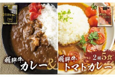 【11月発送】飛騨牛カレー (3袋) 飛騨牛トマトカレー (2袋)  計5食   簡易包装 ビーフカレー 飛騨牛 トマト カレー レトルトカレー  ふるさと清見 DC003VC11