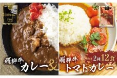【10月発送】飛騨牛カレー (8袋) 飛騨牛トマトカレー (4袋)  簡易包装 飛騨牛 トマトカレー  レトルトカレー お手軽 ふるさと清見 DC004VC10
