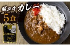 【11月発送】飛騨牛カレー (5袋) ビーフカレー 飛騨牛 カレー レトルトカレー  簡易包装 ふるさと清見  DC005VC11
