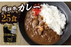 【11月発送】飛騨牛カレー (25袋) ビーフカレー 飛騨牛カレー 簡易包装 レトルトカレー ふるさと清見 DC008VC11