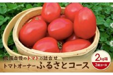 【2025年先行予約】（2025年7～9月に3回お届け） 定期便 トマト詰合せ 1箱（約2kg） | ミニトマト トマト とまと 調理用トマト 詰合せ 飛騨産 飛騨高山 トマトファーム飛騨 BR100