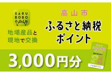 高山市ふるさと納税ポイント 3,000pt【飛騨信用組合 SB002】