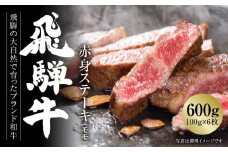 飛騨牛 赤身ステーキ 600g（100g×6枚） 冷凍真空パック | 肉 お肉 ステーキ 黒毛和牛 和牛 人気 おすすめ 牛肉 ギフト お取り寄せ【飛騨高山ミート MZ018】