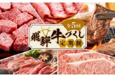 【10月開始】定期便 飛騨牛づくし 全5回 ( すき焼き / ステーキ / 焼肉 / しゃぶしゃぶ ) 計2.1kg | 肉 5ヶ月 牛肉 豚肉 お楽しみ 食べ比べ サーロイン サイコロ 赤身 A5等級 和牛 黒毛和牛 岐阜 高山 BBQ 人気 おすすめ ZZ005VC10