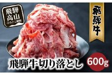 【6月発送】飛騨牛 訳あり 切り落とし600g (日付指定不可) | 牛肉 肉 訳あり 切落し すき焼き 高山市 不揃い 黒毛和牛 冷凍 人気 国産 薄切り 部位 お取り寄せ グルメ 高評価 レビュー  株式会社丸明 LR004VC06