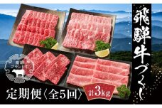 【定期便】飛騨牛 全５回（焼肉・すき焼き・ステーキ）計3kg | 焼肉 ステーキ カルビ 食べ比べ 牛 定期【飛騨高山ミート MZ100】