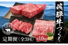 【定期便】飛騨牛（全３回）（ステーキ /焼肉 / ブロック[塊] ) 計1.6kg 全3回  | 焼肉 ステーキ カルビ  牛肉 定期 【飛騨高山ミート MZ101】